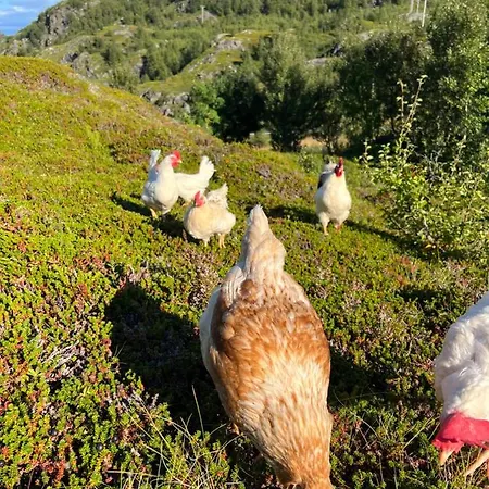 Bestefarhuset Holiday home