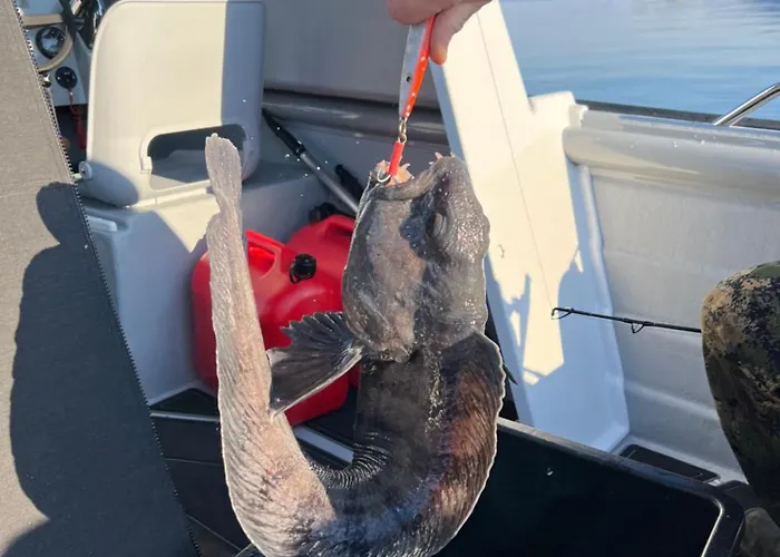 Bestefarhuset 別荘 Hakkstabben