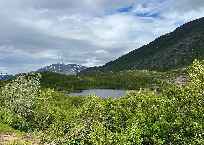 別荘 Bestefarhuset Hakkstabben