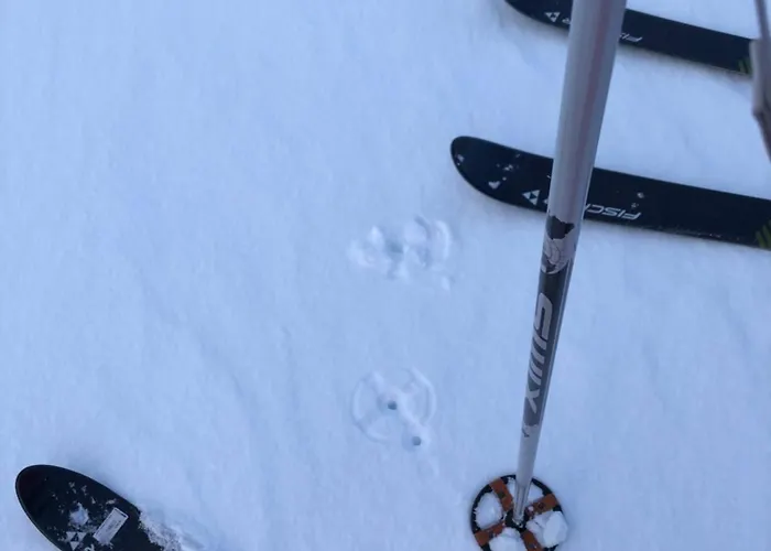 別荘 Bestefarhuset