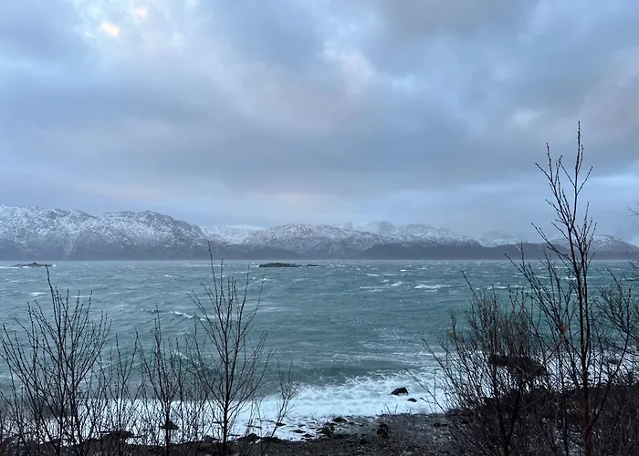 Bestefarhuset * Hakkstabben