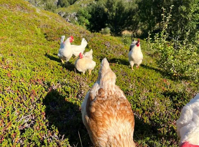 Bestefarhuset Casa de Férias