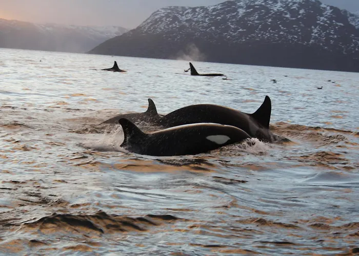 Casa de Férias Bestefarhuset